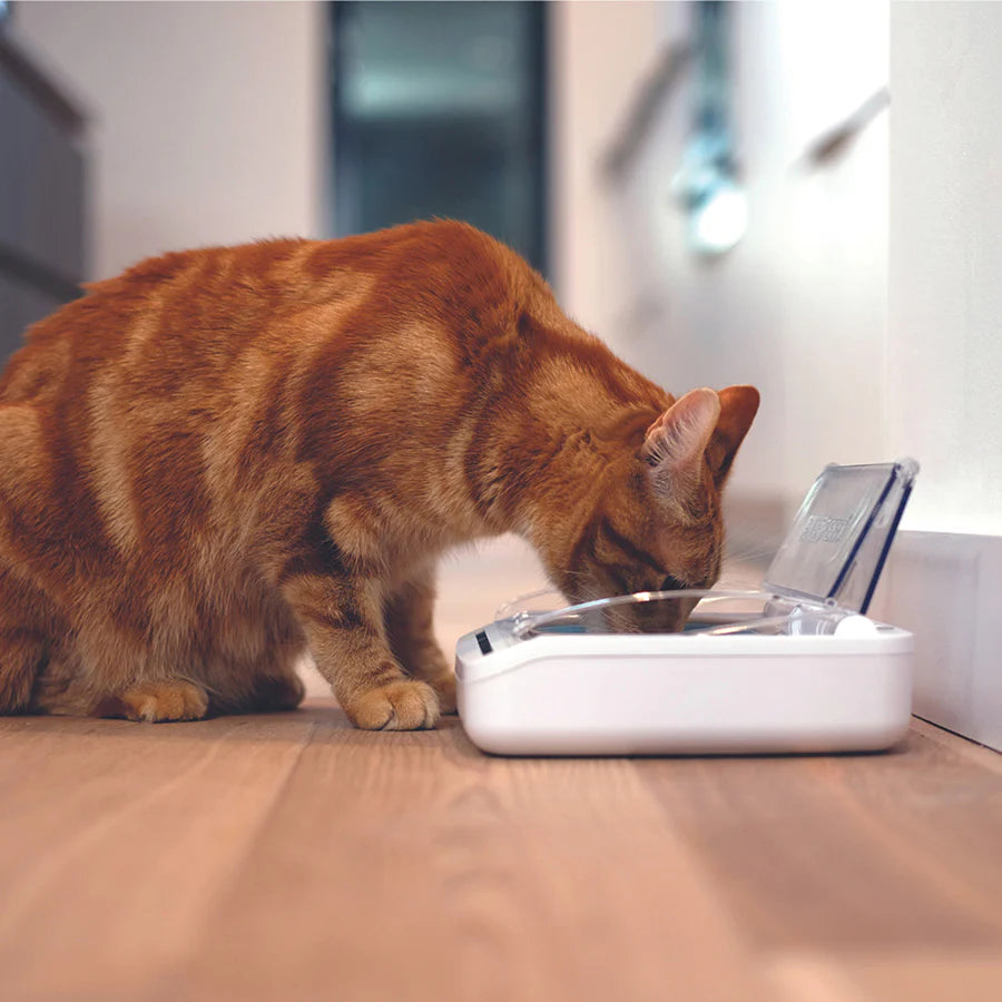 SureFeed Microchip Pet Feeder Connect for Cats & Small Dogs