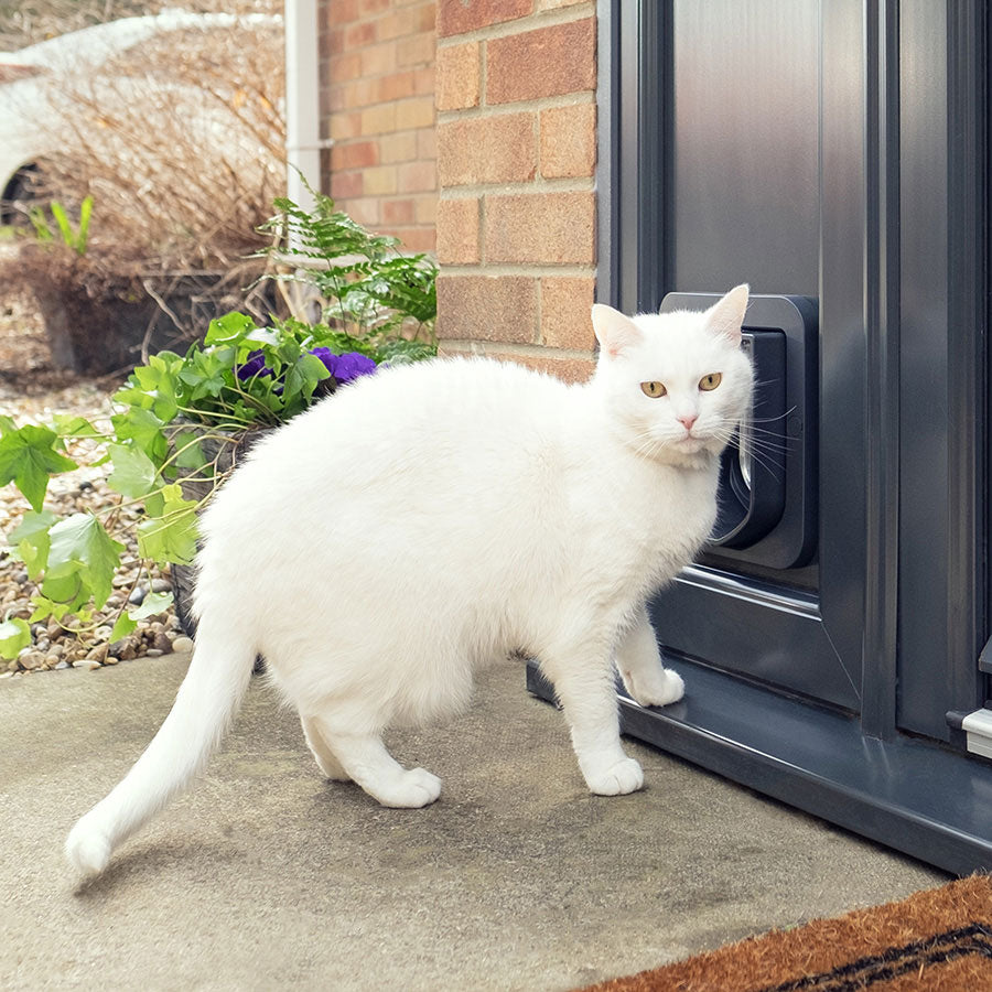 SureFlap Microchip Cat Flap Grey