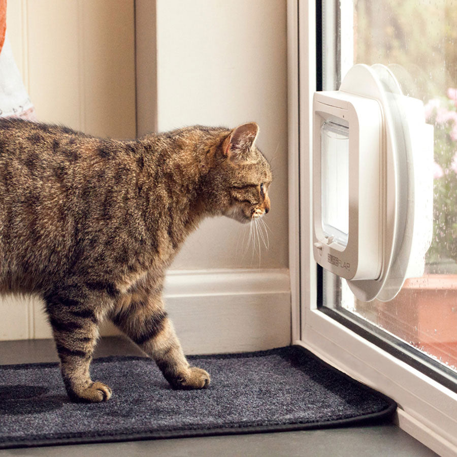 SureFlap Microchip Flap for Small / Medium Cats White